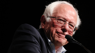 Dog Name Database Finally Proves Bernie Would've Won